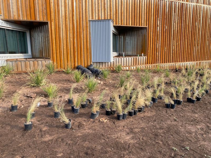 Lawn Installation And Maintenance