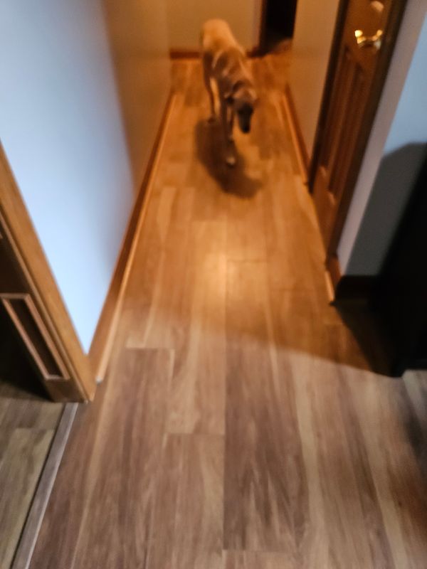 Flooring 
