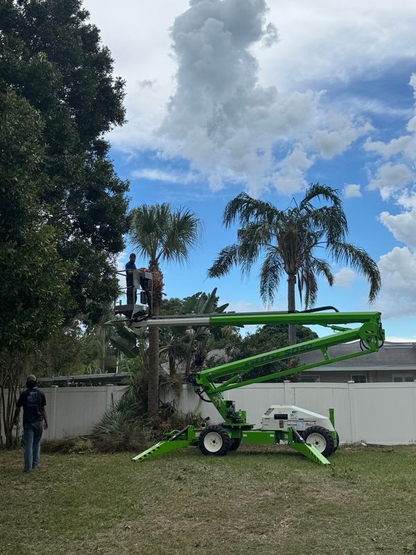 Land Clearing