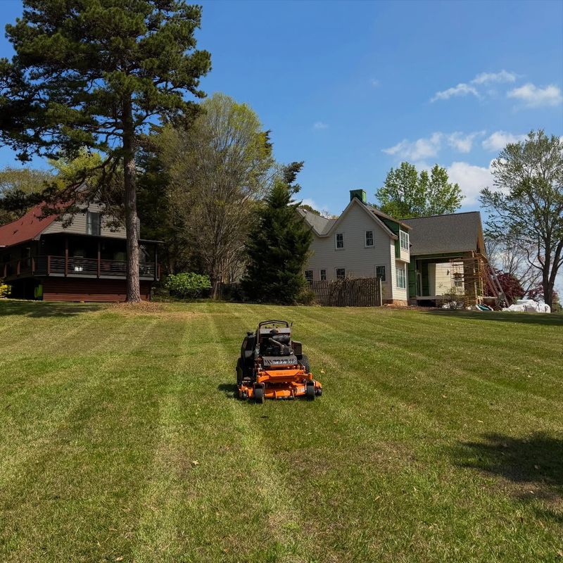 Full Service Lawn Maintenance