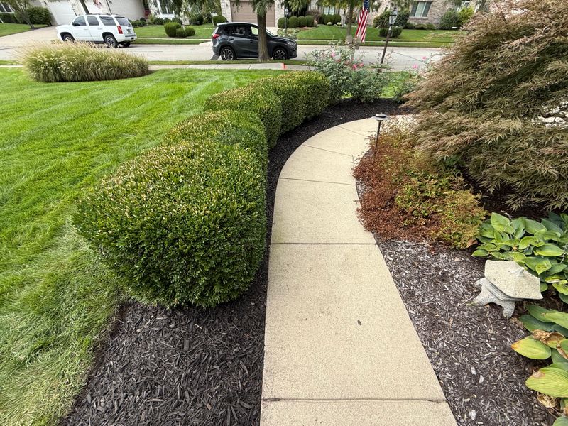 Lawn Mowing