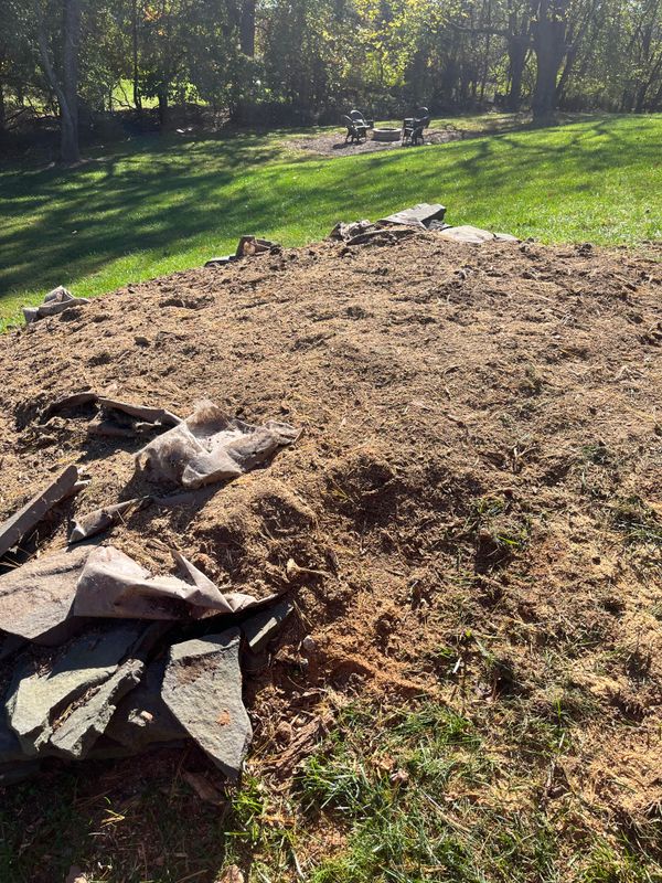 Tree Services
