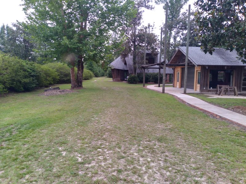 Lawn Mowing