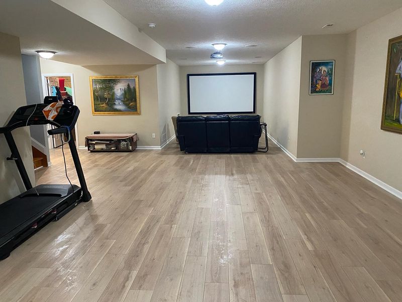 Basement Remdoeling