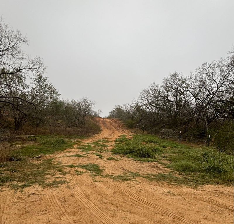 Land Clearing