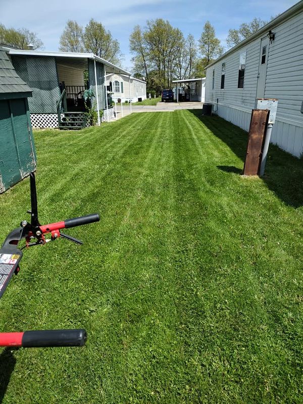 Lawn Care and Maintenance