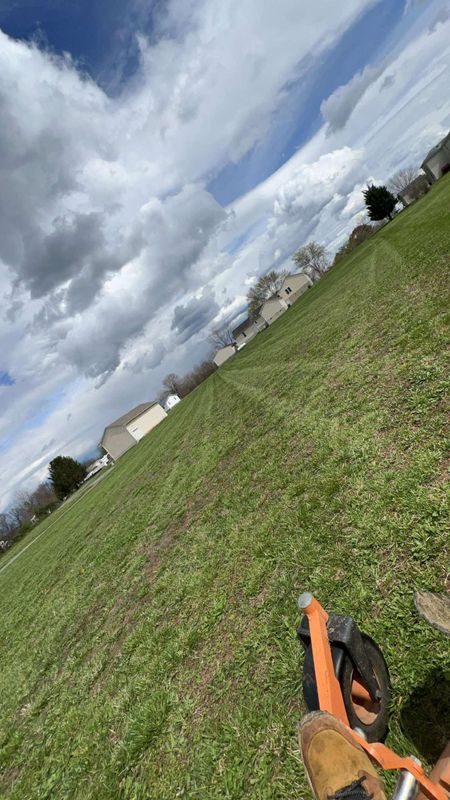 Mowing