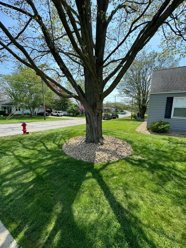 Lawn Care