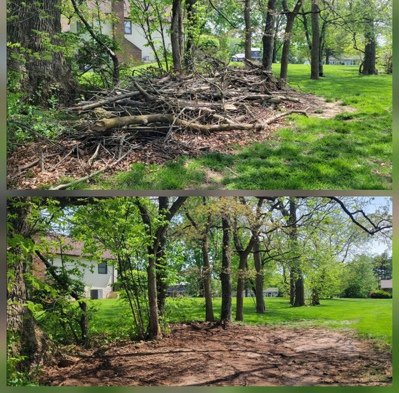 Downed Tree/Brush Removal