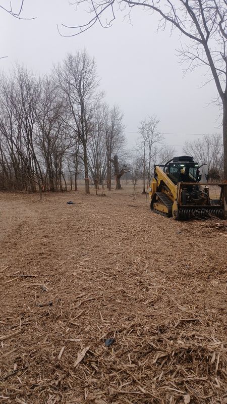 Forestry Mulching
