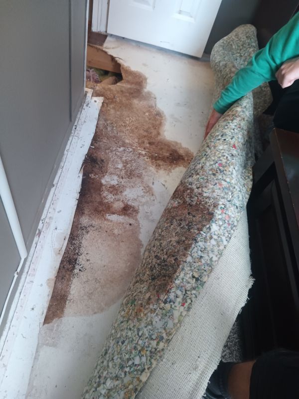 Bathroom Repair