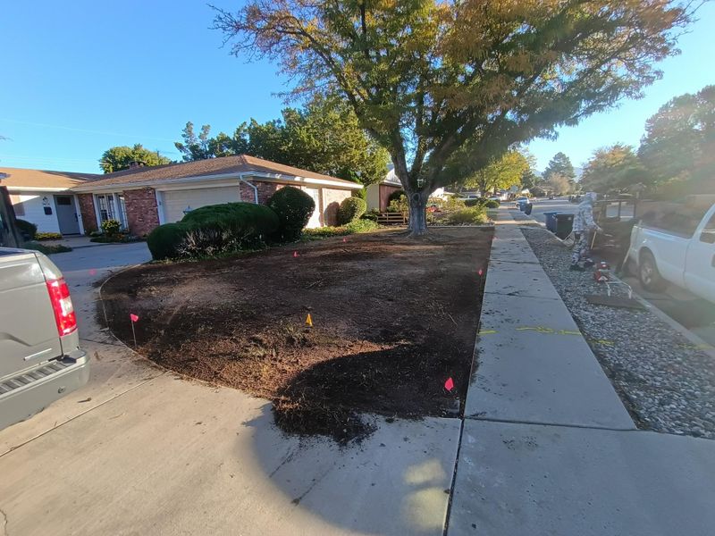 Sod Installation