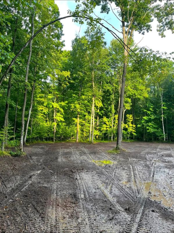 Land Clearing & Forestry Mulching