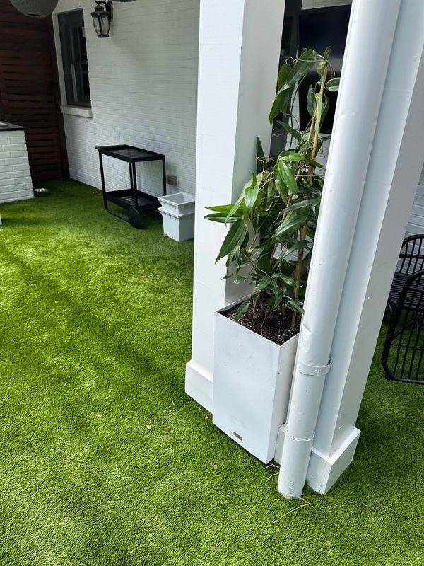 Lawn Care & Maintenance