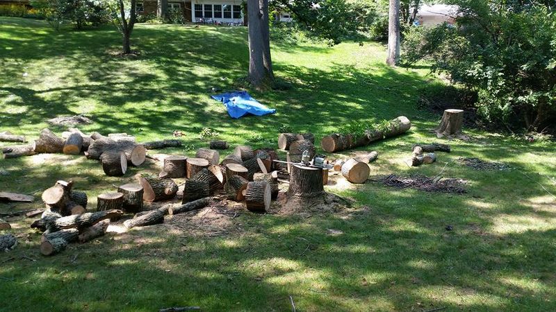 Landscaping