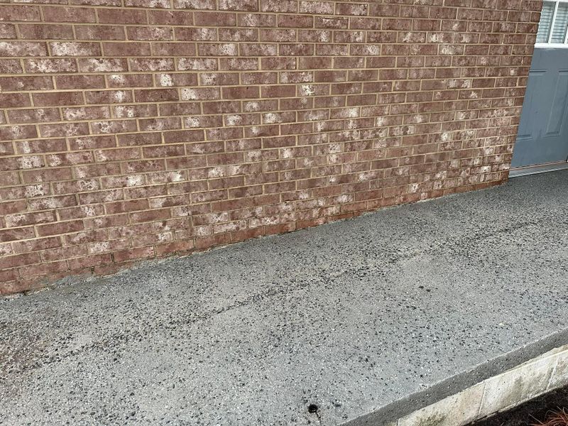 Stain and Graffiti Removal