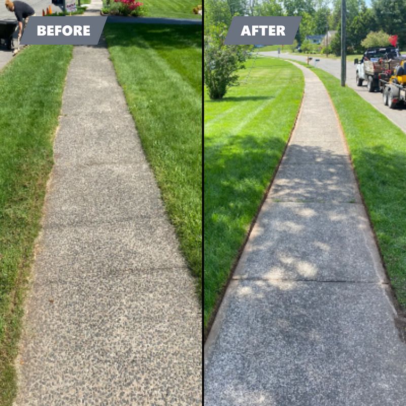 Lawn Maintenance