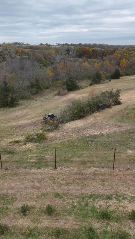 Land Clearing