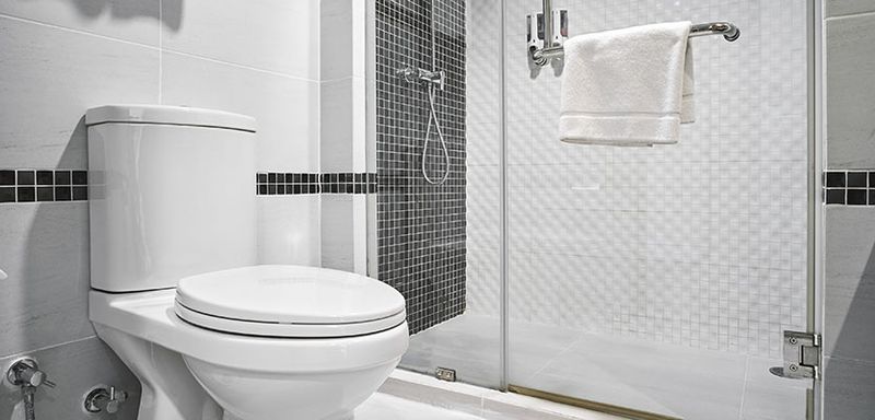 Toilet Repairs and Installation