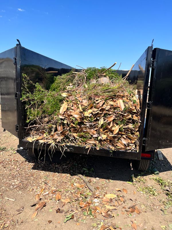 Yard Waste Removal 