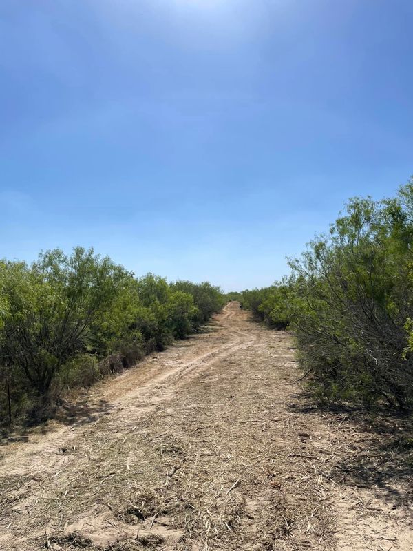 Land Clearing