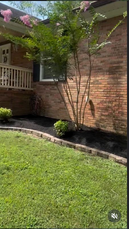 Mulch Installation