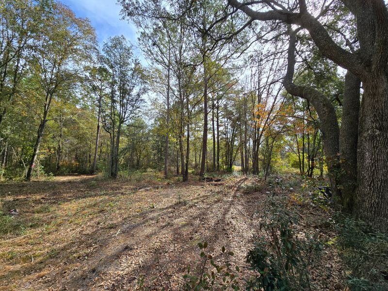 Land Clearing