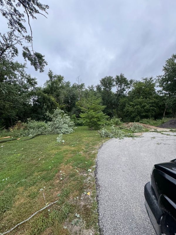 Land Clearing and Site Preparation