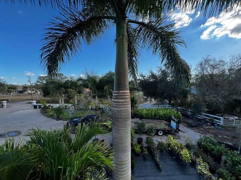 Landscape Design & Installation