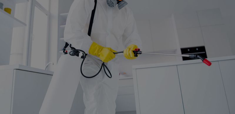 Pest Control