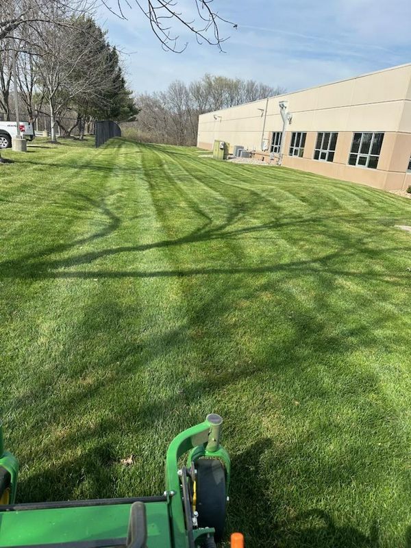 Lawn Mowing and Maintenance
