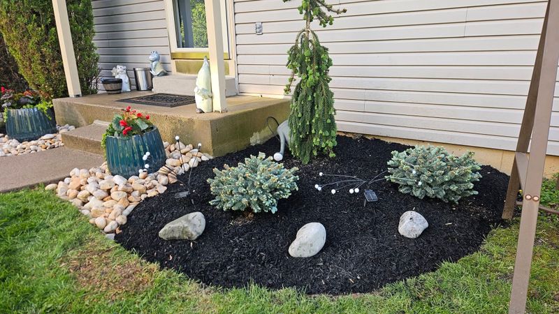 Landscape Design
