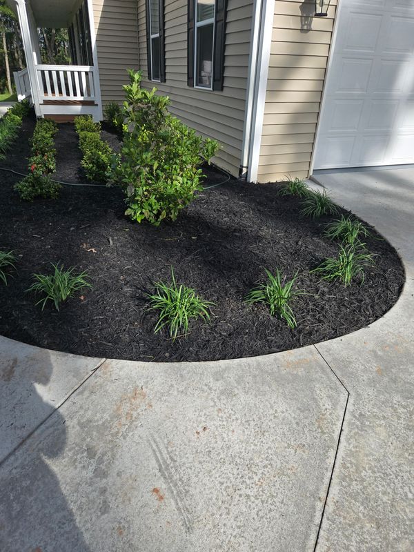 Mulch Installation
