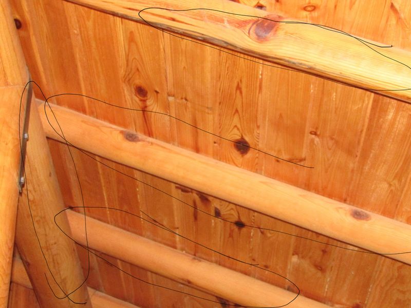 Interior Renovations