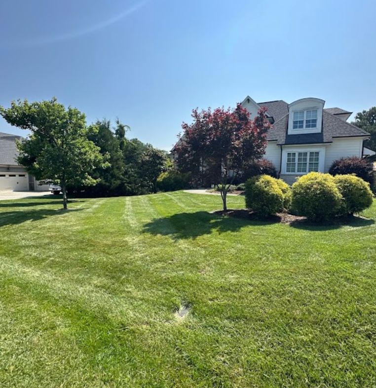 Garden Care and Planting