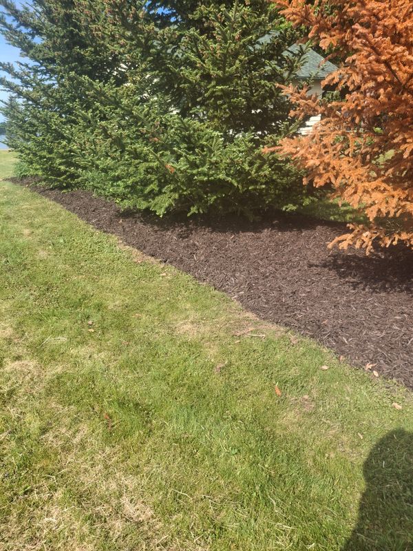 Landscape Design