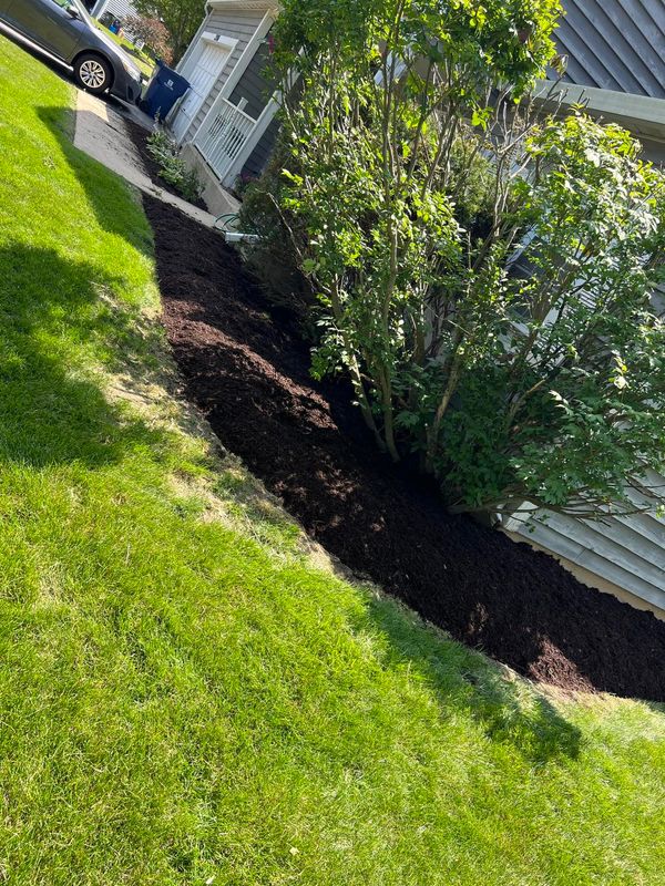 Landscaping