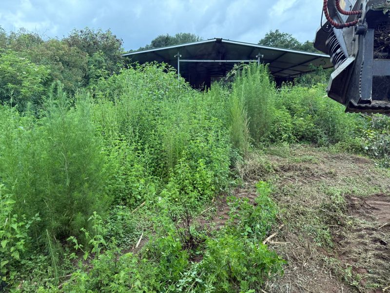 Land Clearing