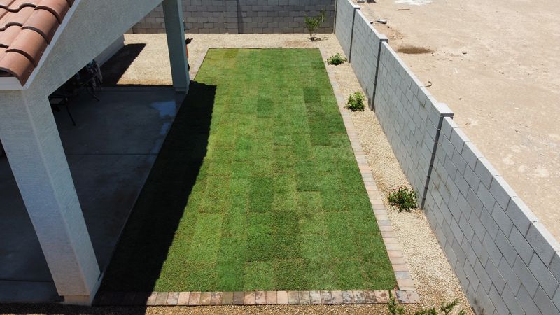 Lawn Aeration