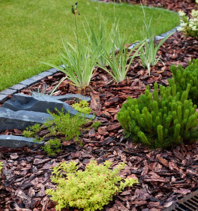 Mulch Installation