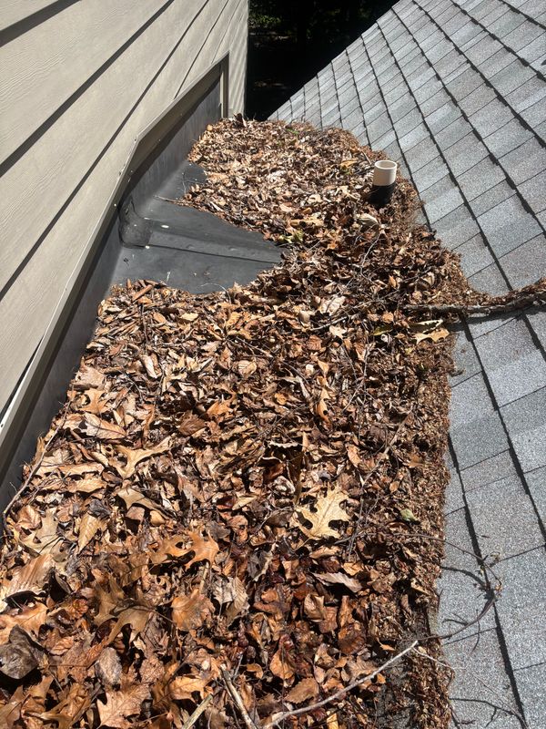 Roof Cleaning