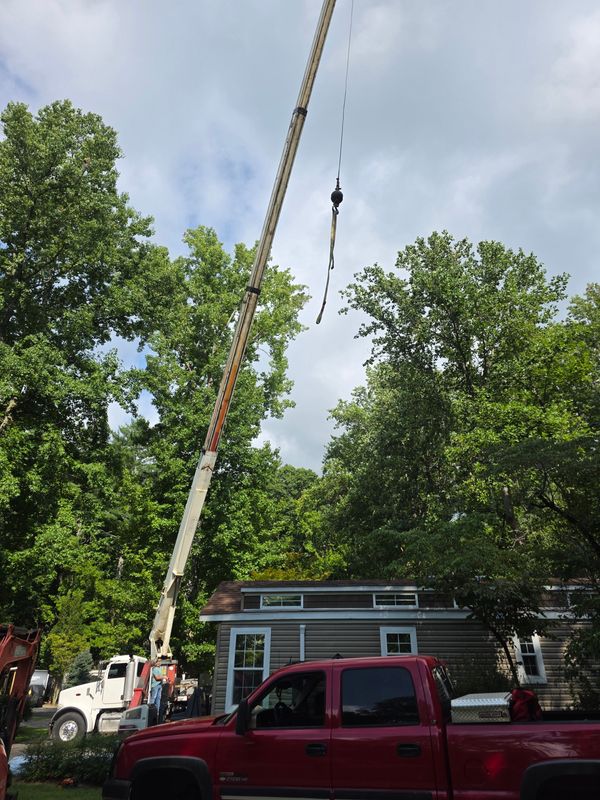 Tree Trimming & Removal