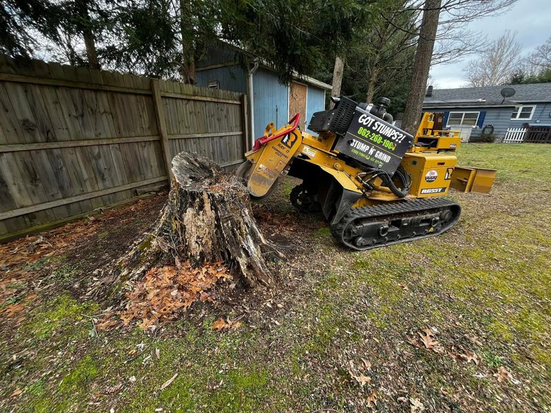 Stump Grinding
