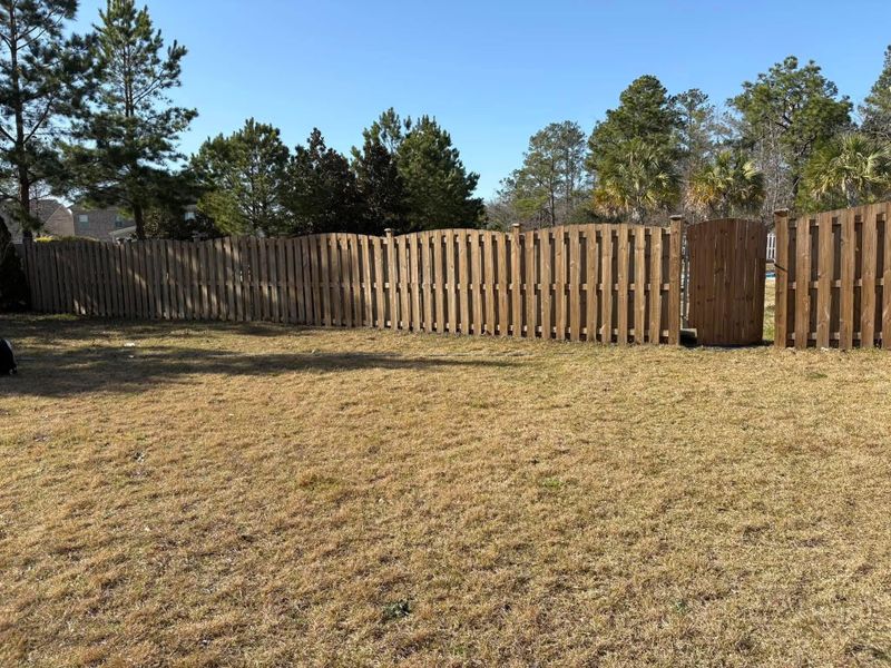 Lawn Maintenance