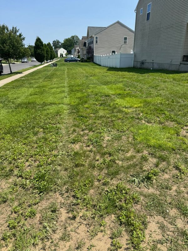 Lawn Maintenance