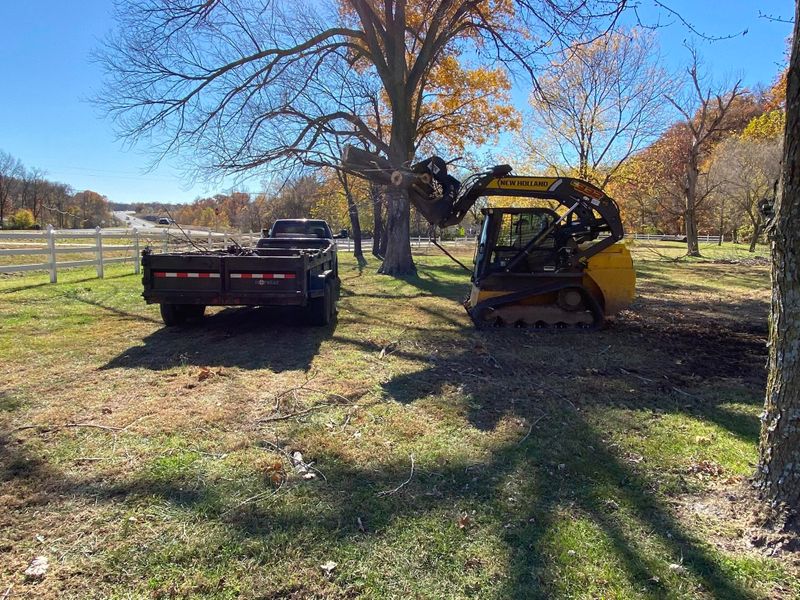 Tree Removal