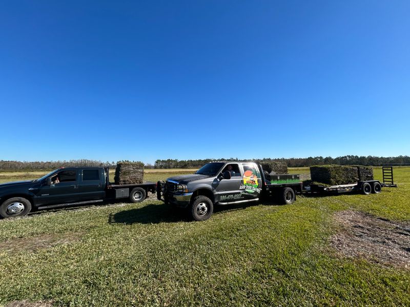 Landscape design and installation