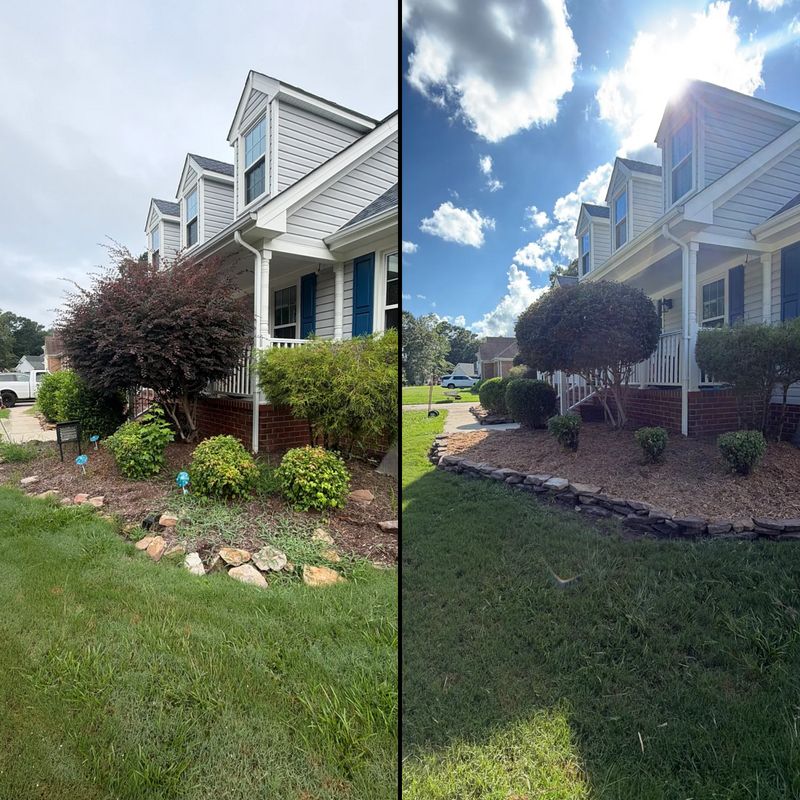 Landscape Design & Renovation