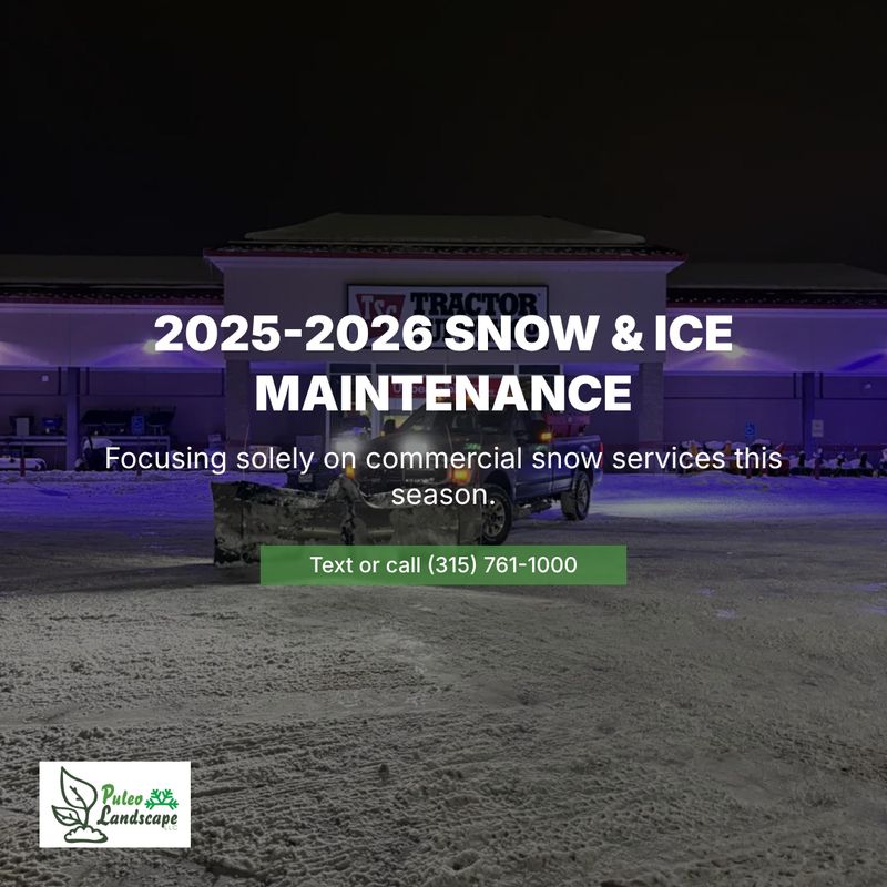 Commercial Snow