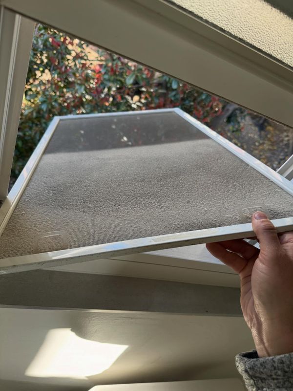 Gutter Cleaning